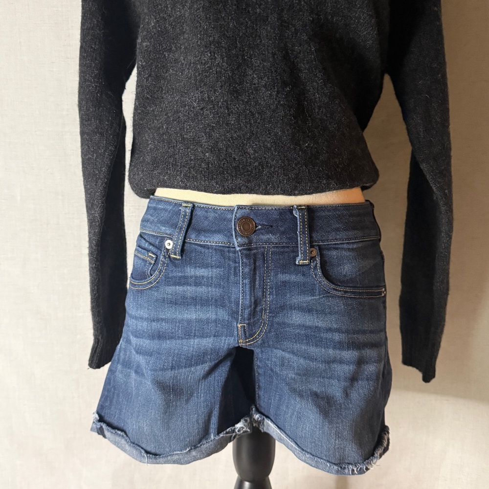 American Eagle Outfitters Denim Blue Women's Shorts